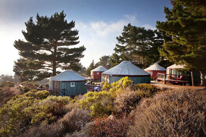 treebones-yurt