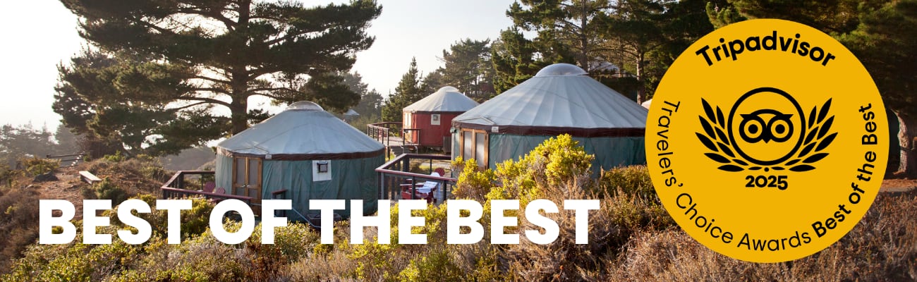 best places to stay treebones